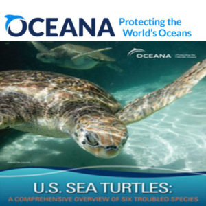 Tue. 8 am.Paulita Bennett-Martin, Campaign Organizer for Oceana, one of ...